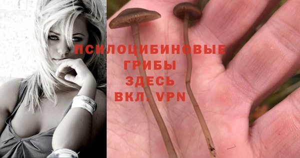 дурь Абаза