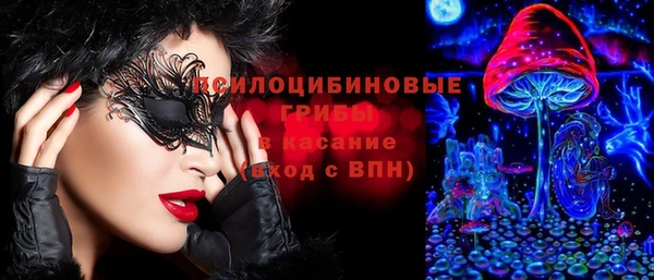 амф Алексин