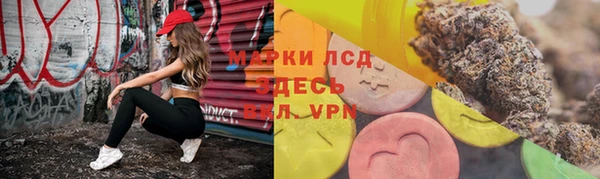 ГАЛЛЮЦИНОГЕННЫЕ ГРИБЫ Алзамай