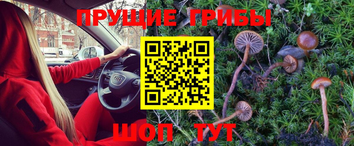 Миллерово  Псилоцибиновые грибы Psilocybine cubensis  Вход с VPN 